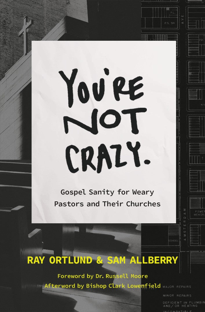 You're Not Crazy - Re-vived