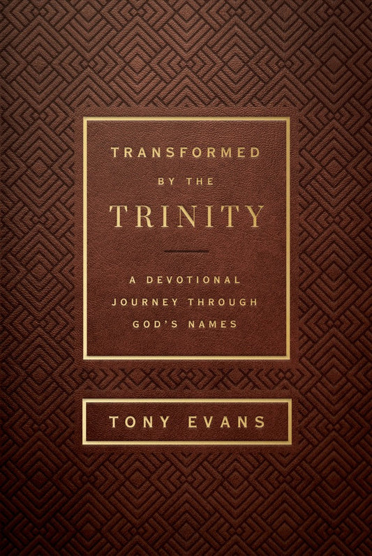 Transformed by the Trinity - Re-vived
