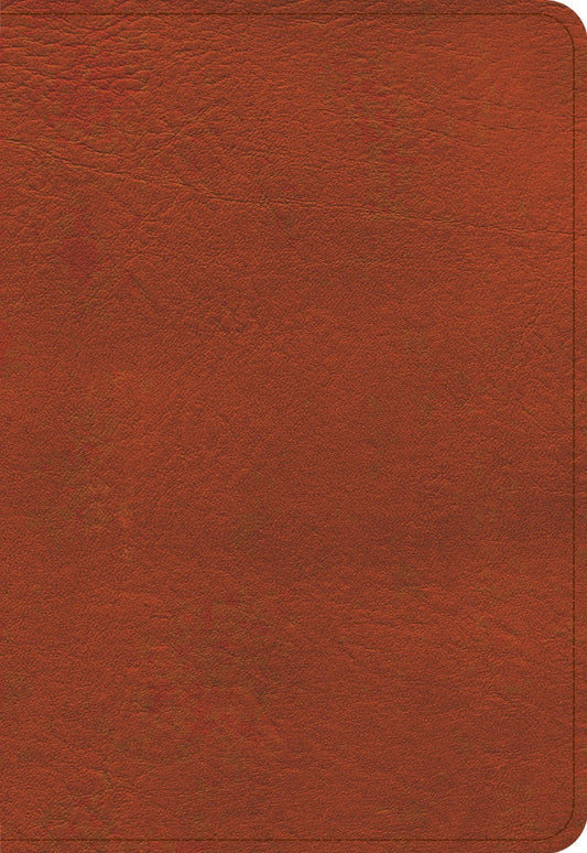 KJV Large Print Compact Reference Bible, Burnt Sienna - Re-vived