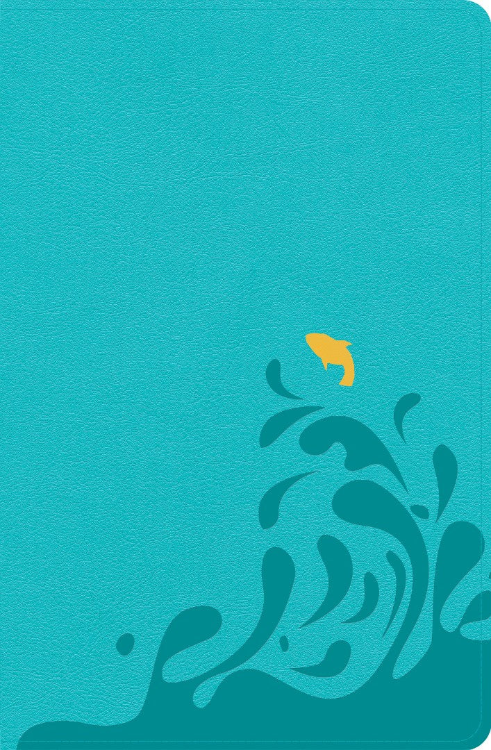 CSB Easy-For-Me Bible For Early Readers, Aqua Blue Leatherto - Re-vived