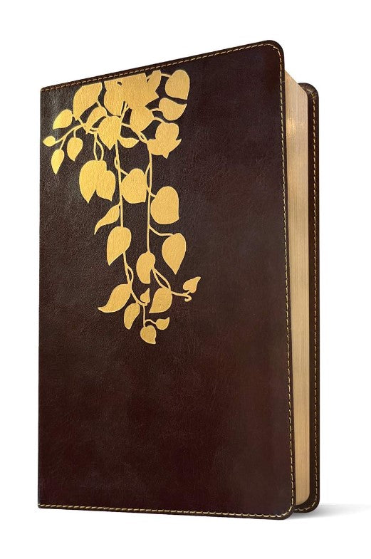 NLT Thrive Devotional Bible for Women, Deep Brown - Re-vived