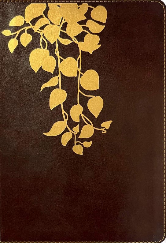 NLT Thrive Devotional Bible for Women, Deep Brown, Indexed - Re-vived