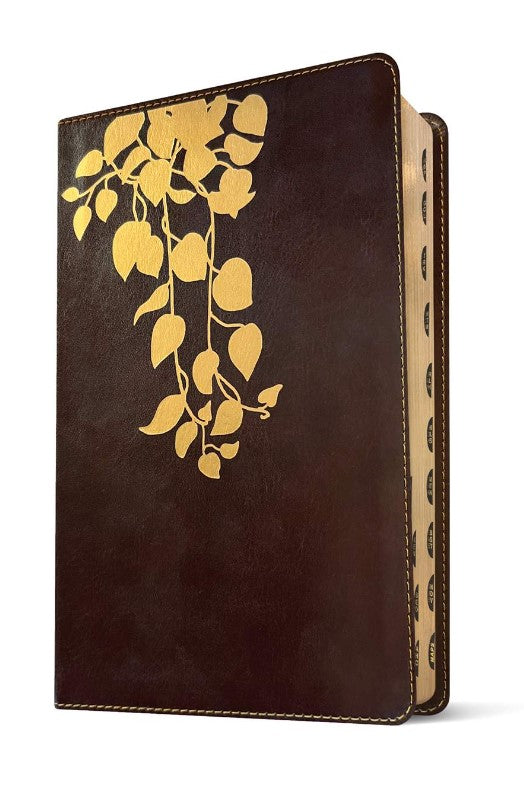 NLT Thrive Devotional Bible for Women, Deep Brown, Indexed - Re-vived