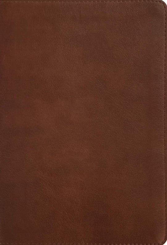NLT Thinline Center-Column Reference Bible, Filament Edition - Re-vived