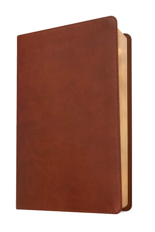 NLT Thinline Center-Column Reference Bible, Filament Edition - Re-vived