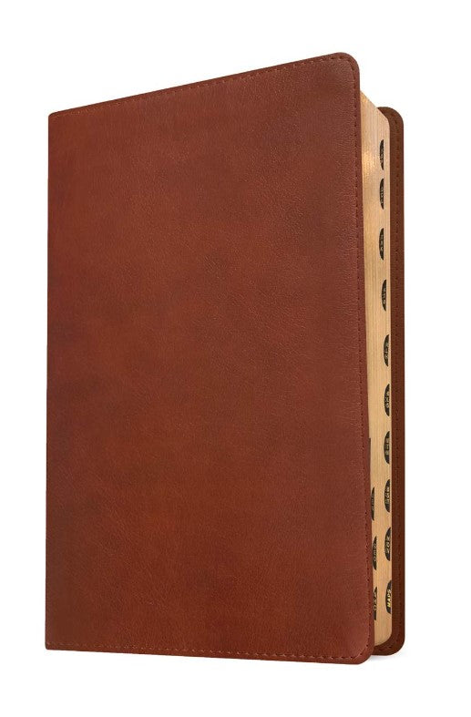 NLT Thinline Center-Column Reference Bible, Filament Edition - Re-vived
