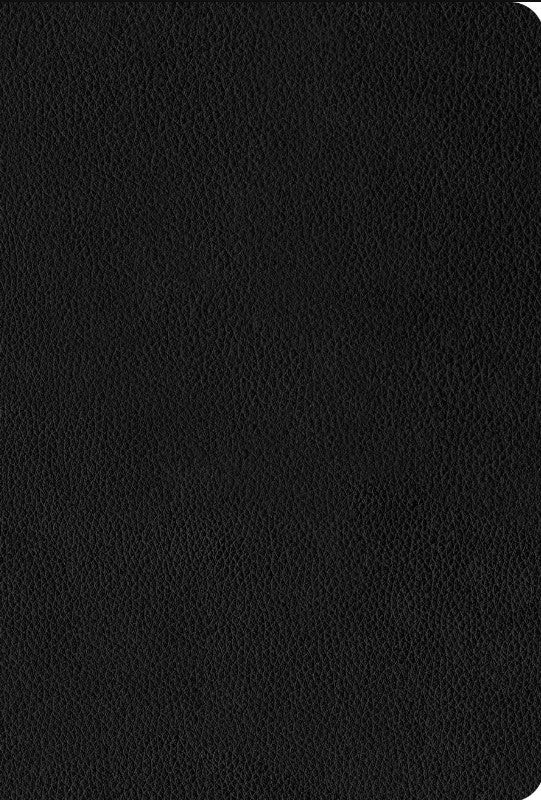 NLT Thinline Center-Column Reference Bible, Filament Edition - Re-vived
