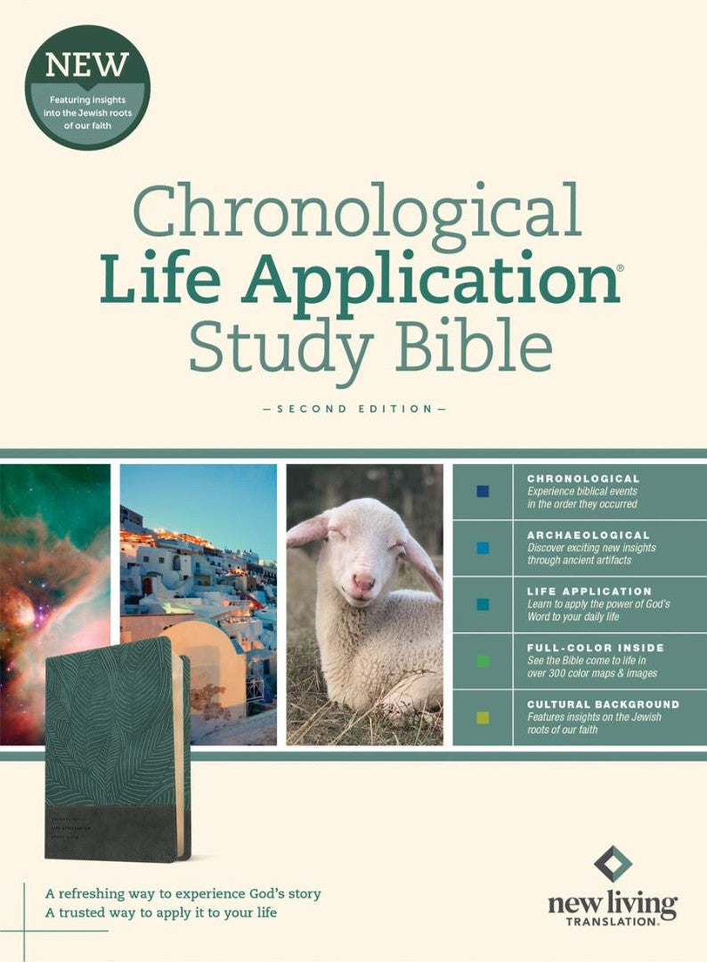 NLT Chronological Life Application Study Bible, Slate Blue - Re-vived