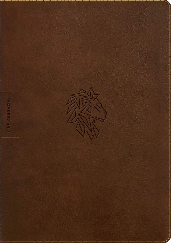 NLT Courage for Life Study Bible for Men, Filament Edition - Re-vived