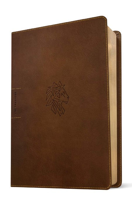 NLT Courage for Life Study Bible for Men, Filament Edition - Re-vived