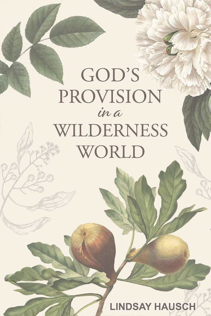 God's Provision in a Wilderness World - Re-vived
