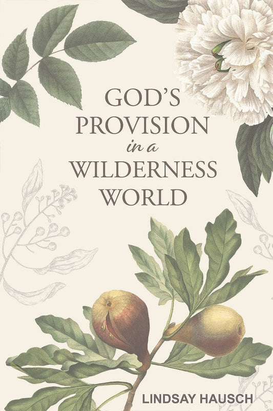 God's Provision in a Wilderness World - Re-vived