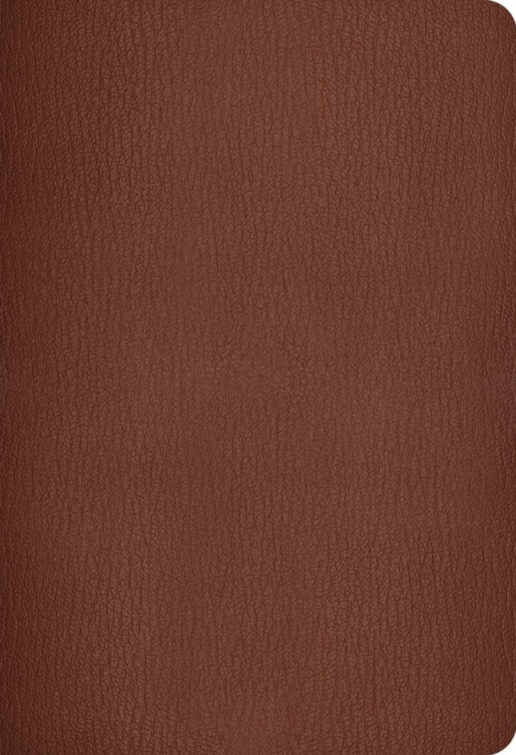 NLT Super Giant Print Bible Filament Edition, Brown, Indexed - Re-vived