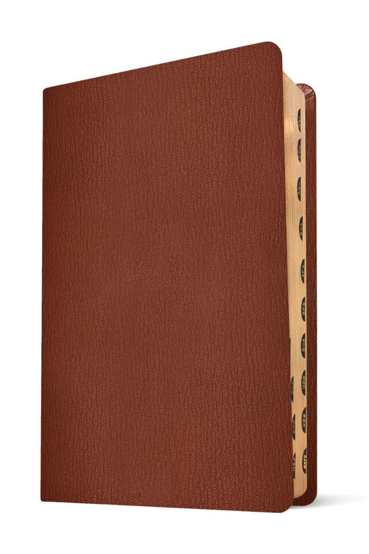 NLT Super Giant Print Bible Filament Edition, Brown, Indexed - Re-vived