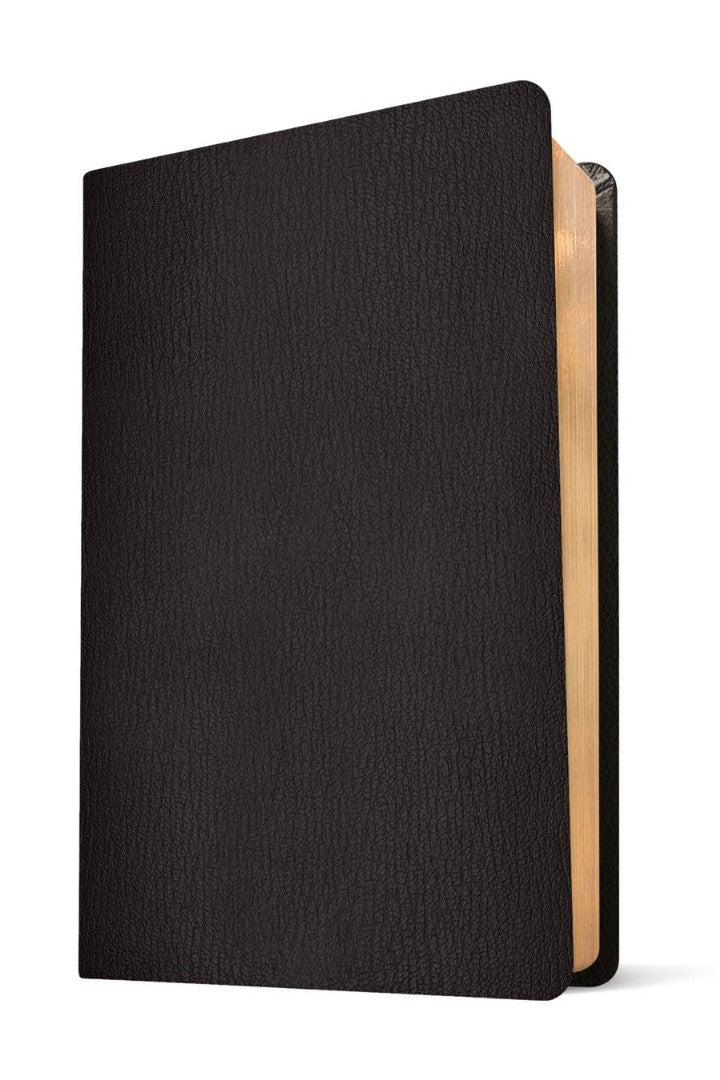 NLT Super Giant Print Bible, Filament Edition, Black - Re-vived
