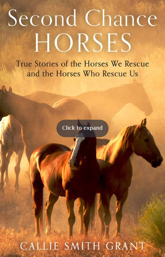 Second-Chance Horses - Re-vived