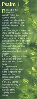 Blessed is the man - Bible Passage Bookmarks - Re-vived