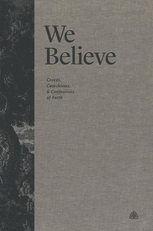 We Believe - Re-vived