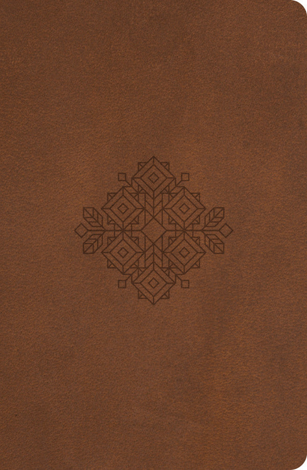 Truth for Life Gift Edition - Re-vived