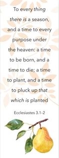To Every Thing There is a Season Ecclesiastes 3:1-2 Bookmark - Re-vived