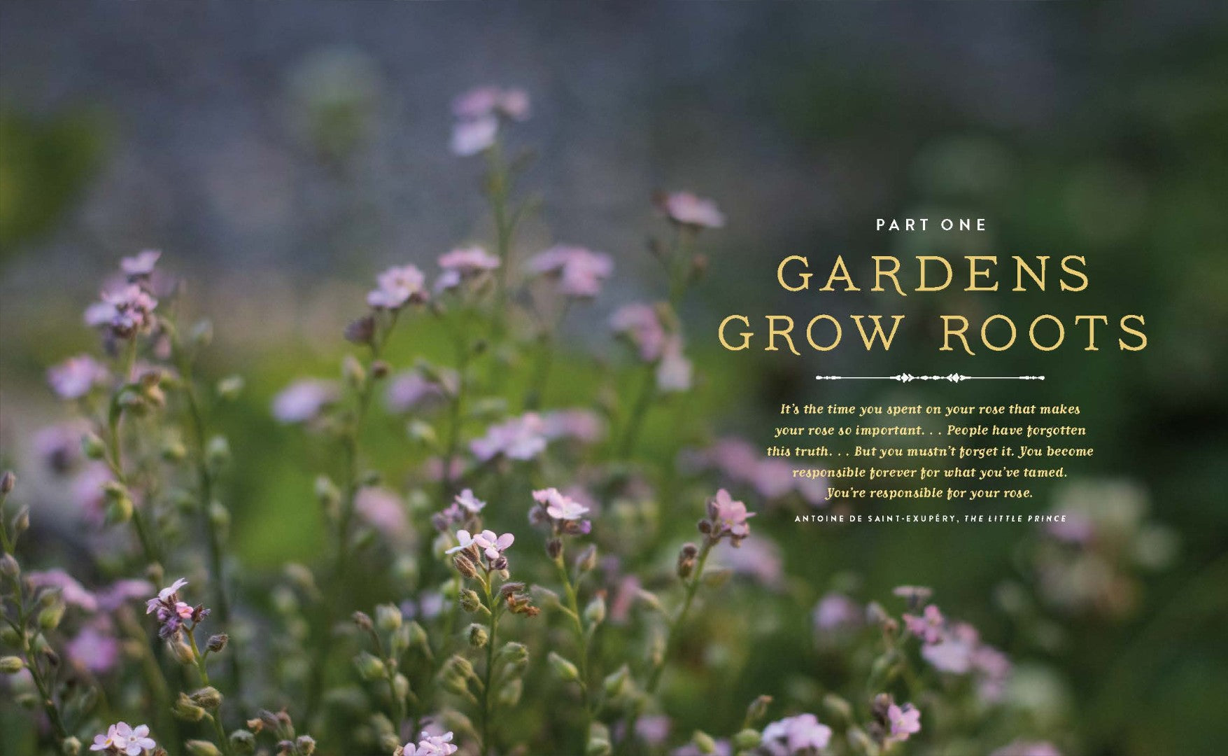 Seedtime and Harvest - Re-vived