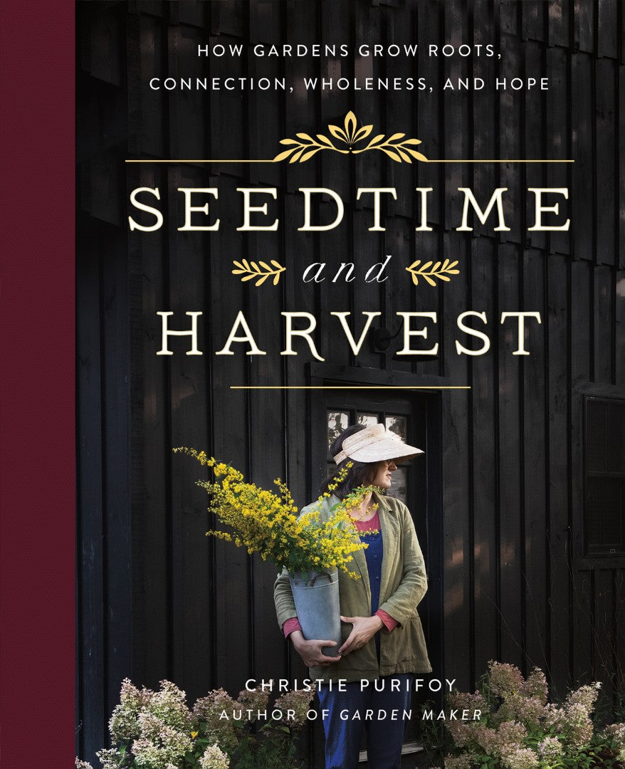 Seedtime and Harvest - Re-vived