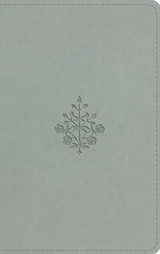 ESV Large Print Value Thinline Bible, River Stone - Re-vived