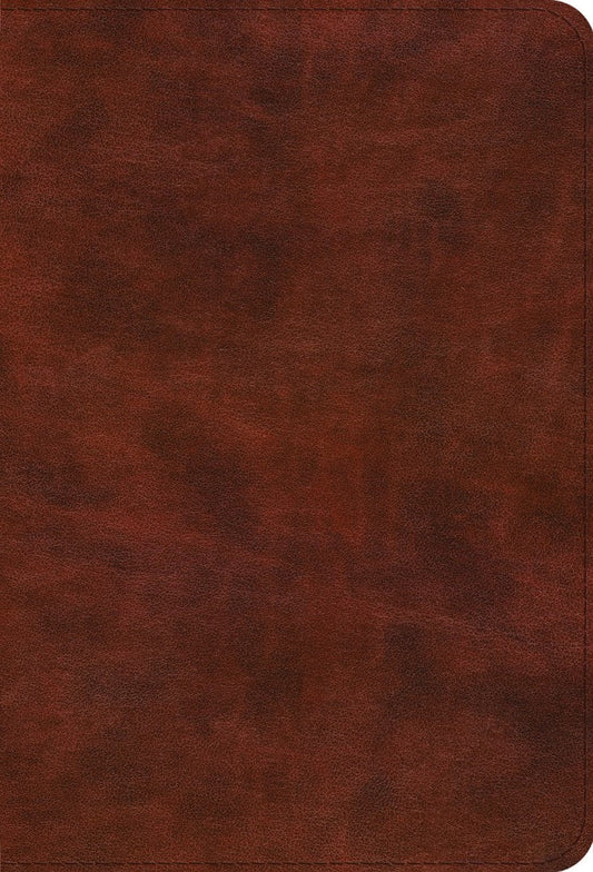 ESV Bible Promises - Re-vived