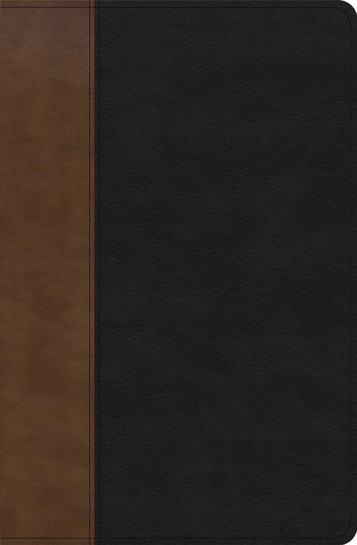 KJV Personal Size Giant Print Bible, Black/Brown - Re-vived