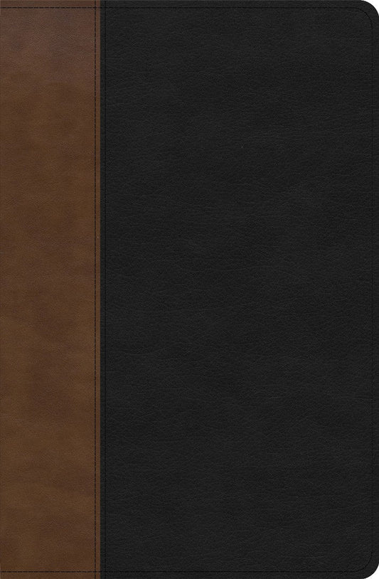 KJV Personal Size Giant Print Bible, Black/Brown, Indexed - Re-vived