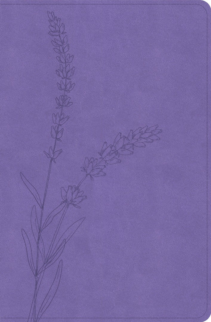 KJV Personal Size Giant Print Bible, Lavender, Indexed - Re-vived