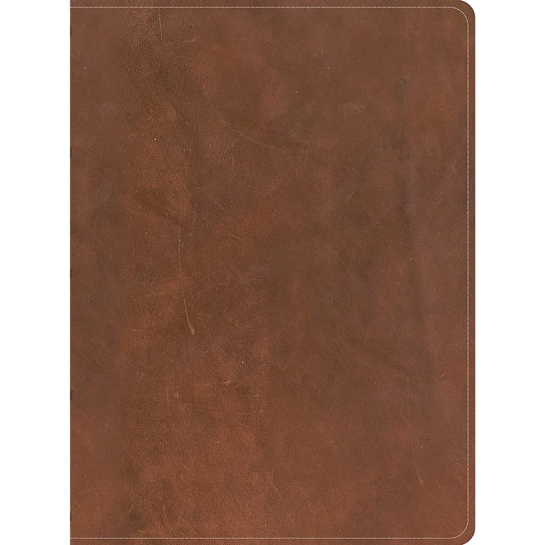CSB Men's Daily Bible, Brown Genuine Leather - Re-vived