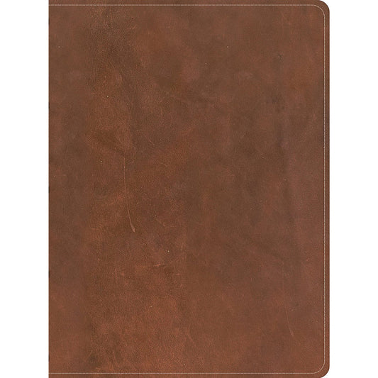 CSB Men's Daily Bible, Brown Genuine Leather, Indexed - Re-vived
