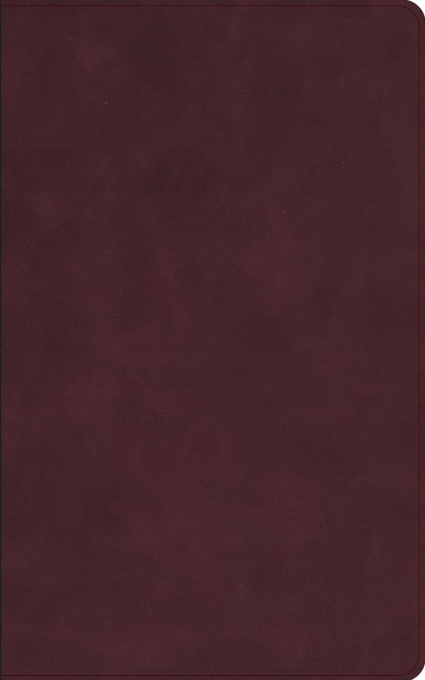 CSB Single-Column Personal Size Bible, Burgundy - Re-vived