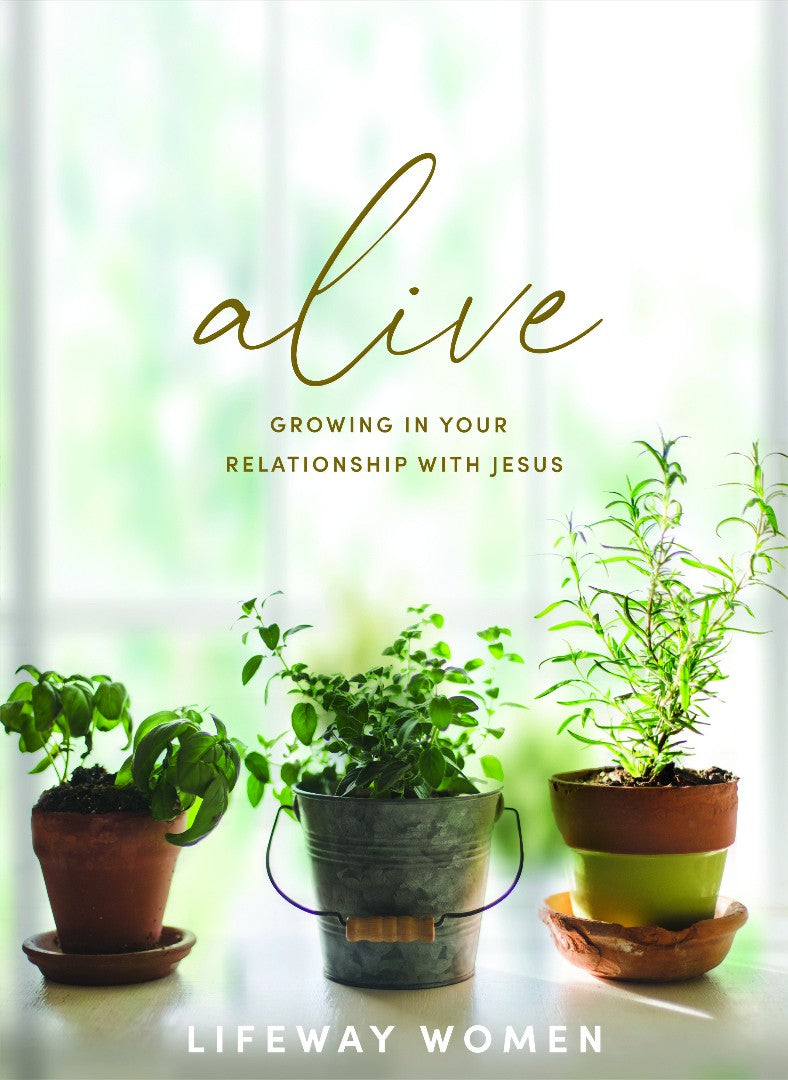 Alive Bible Study Book - Re-vived