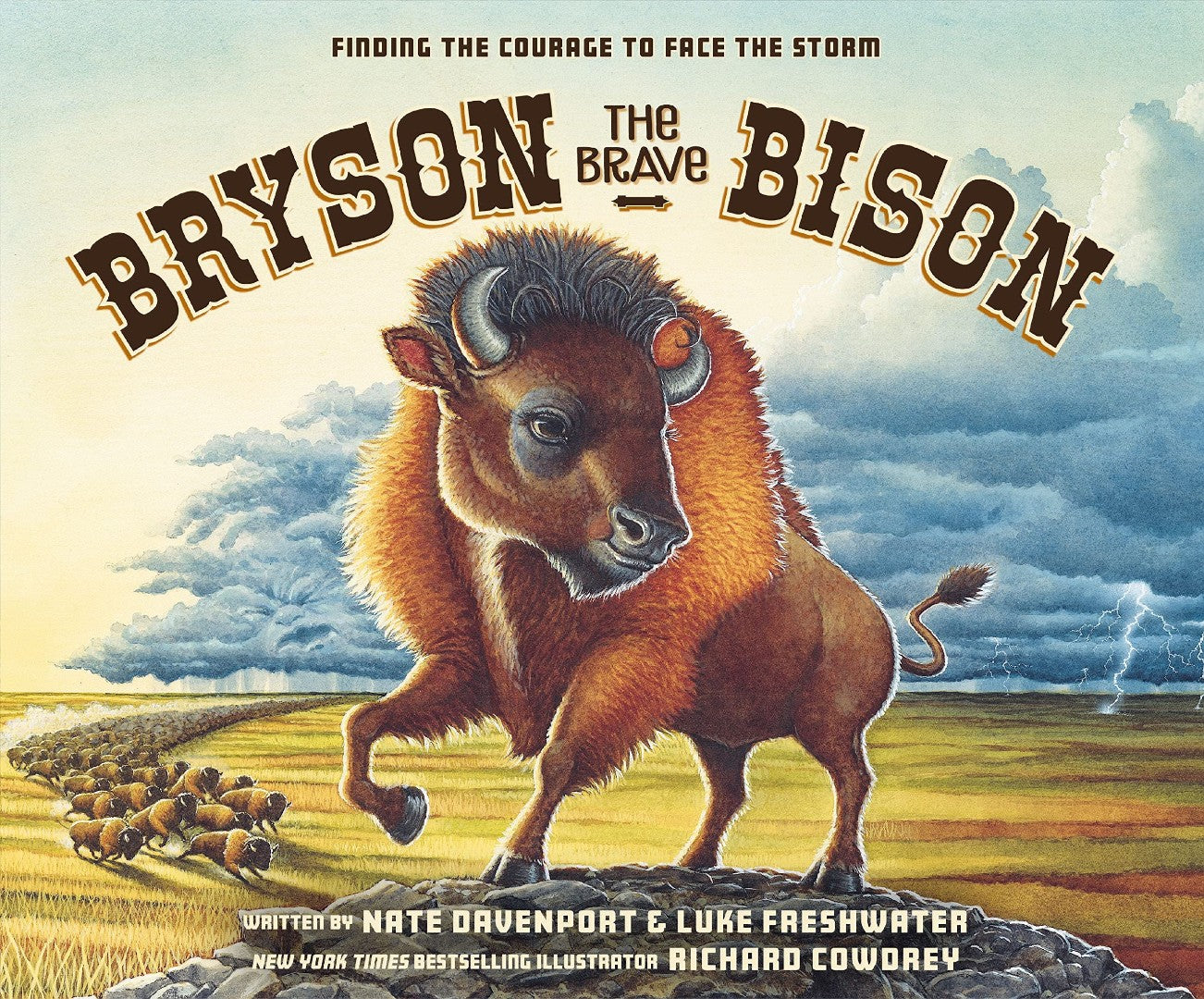 Bryson the Brave Bison - Re-vived