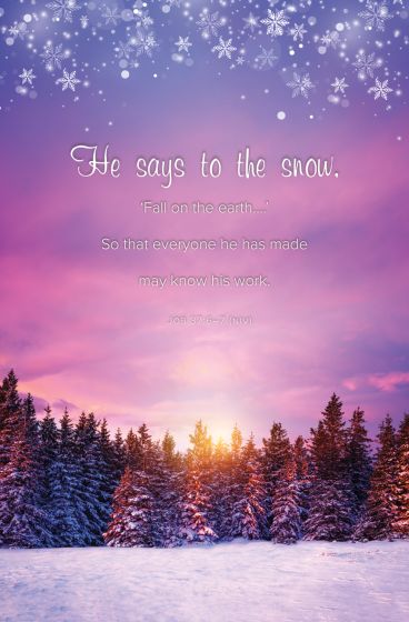 Light of Life Winter Bulletin (Pack of 100) - Re-vived