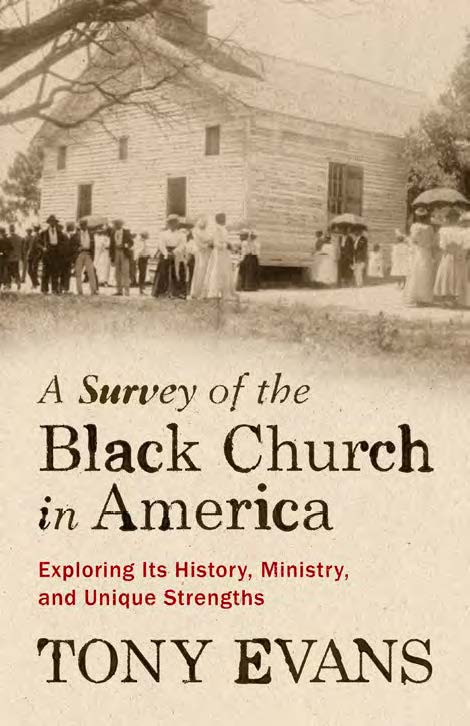 A Survey Of The Black Church In America - Re-vived