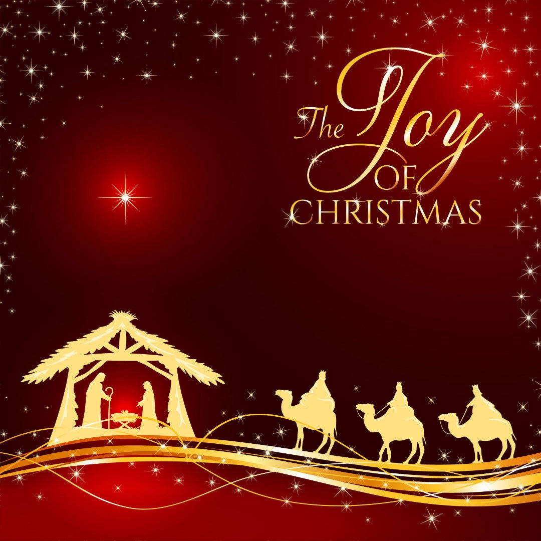 Christmas Joy Christmas Cards (Pack Of 10) - Re-vived