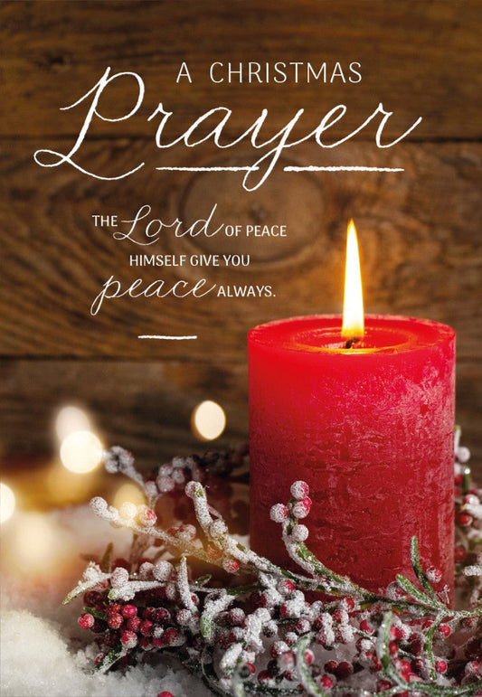 Compassion Charity Christmas Cards: Christmas Prayer (10pk) - Re-vived