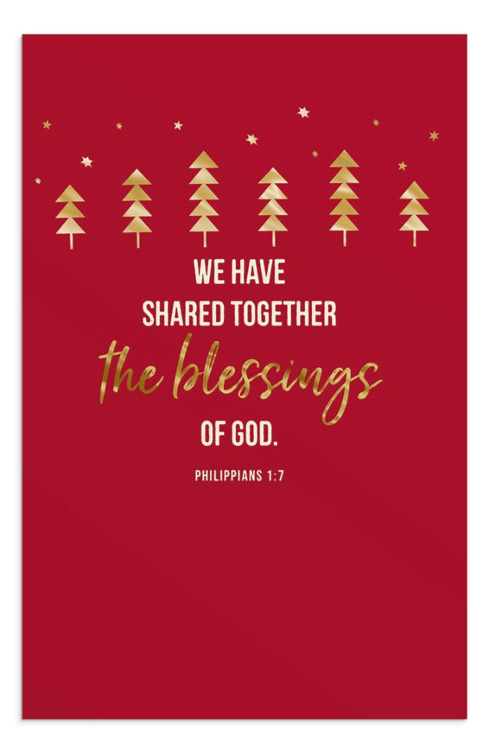 Christmas Boxed Cards: We Have Shared Blessings Of God (18pk - Re-vived