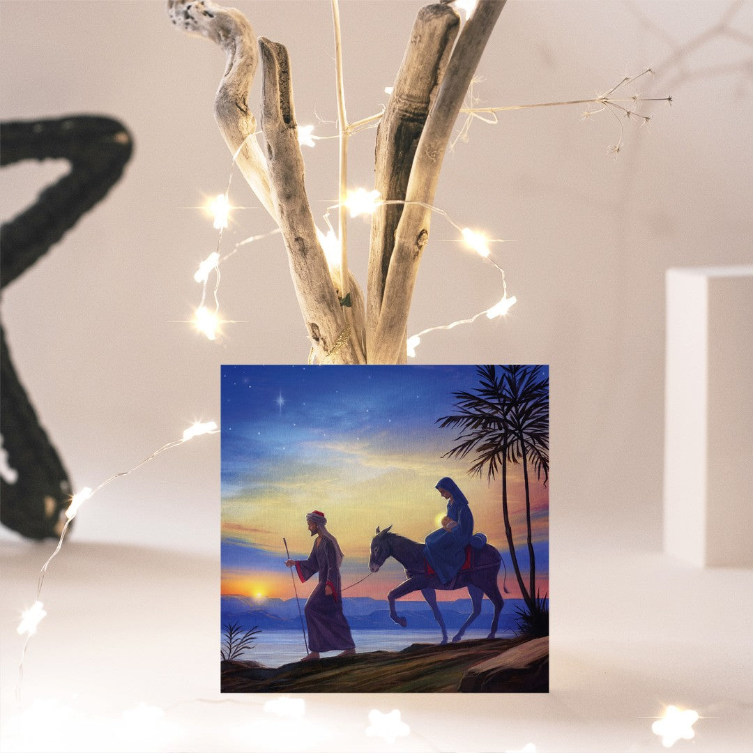 Compassion Charity Christmas Cards: Flight/Egypt (Pack Of 10 - Re-vived