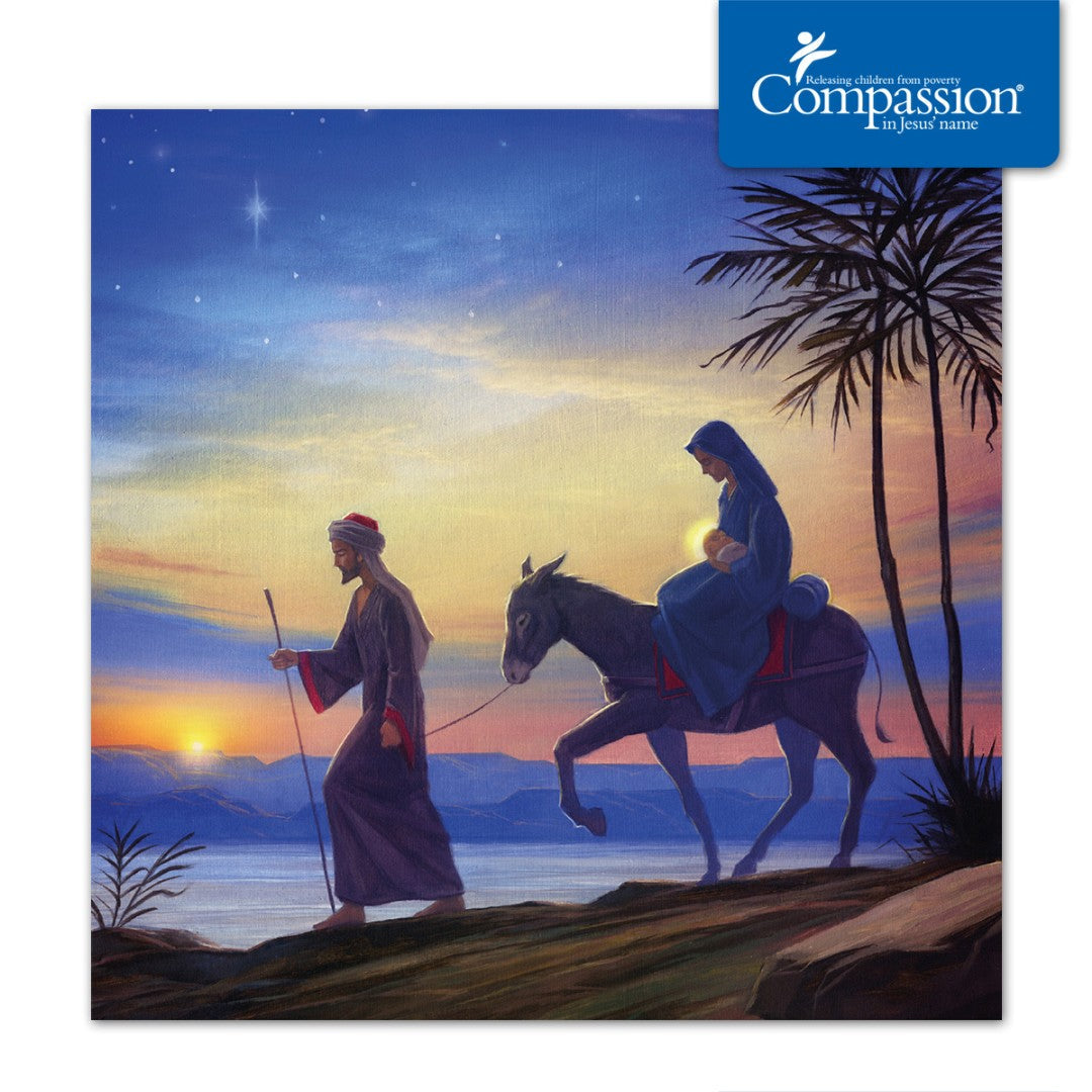 Compassion Charity Christmas Cards: Flight/Egypt (Pack Of 10 - Re-vived