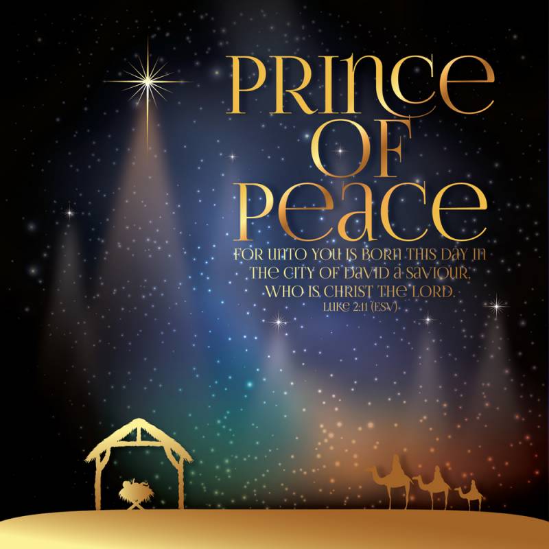 Prince of Peace Luxury Christmas Card (Pack of 10) - Re-vived
