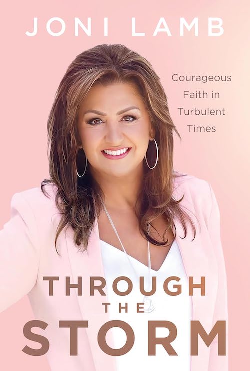 Through the Storm - Re-vived