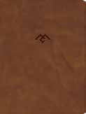 CSB Men Of Character Bible, Revised And Updated, Brown - Re-vived