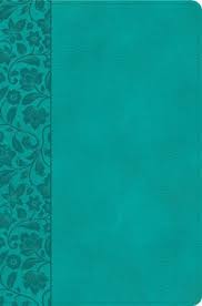KJV Giant Print Reference Bible, Teal Leathertouch, Indexed - Re-vived