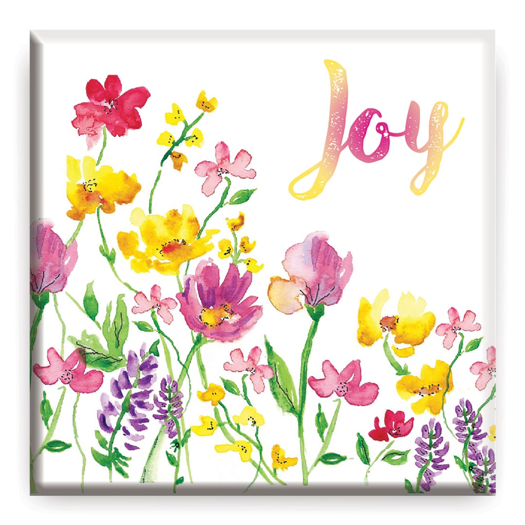 Joy Magnet - Re-vived