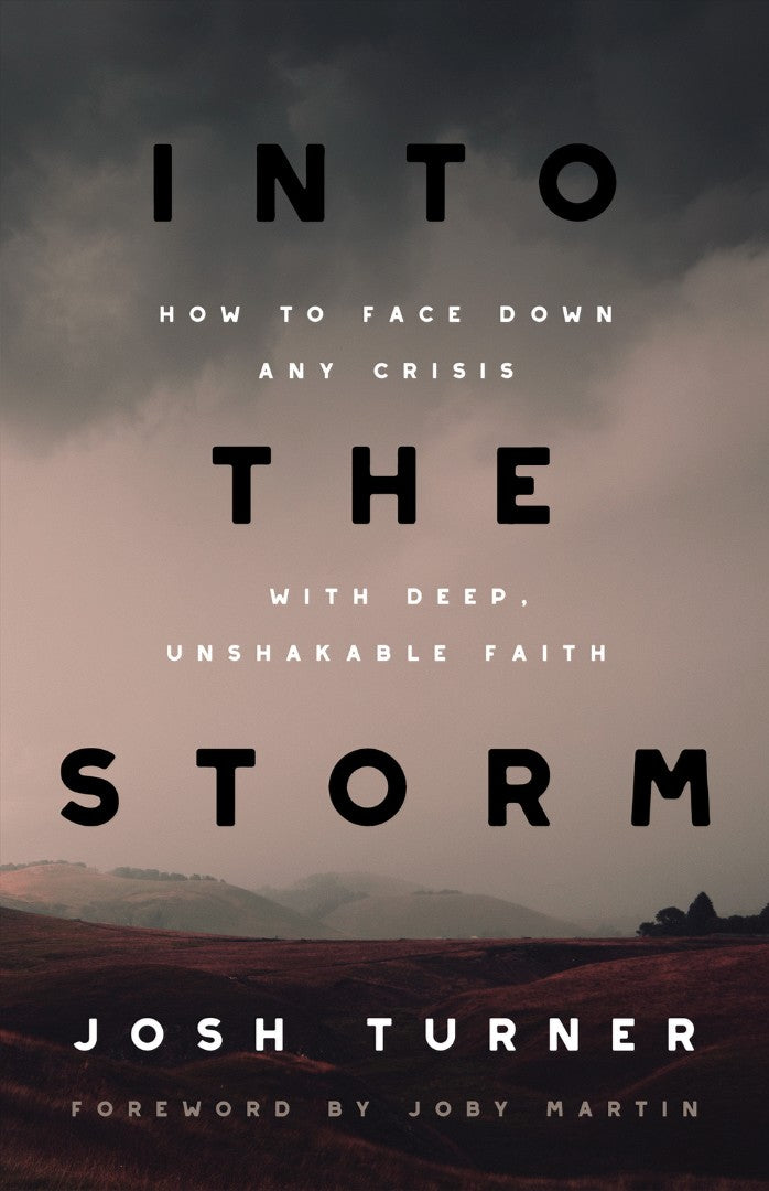 Into the Storm - Re-vived