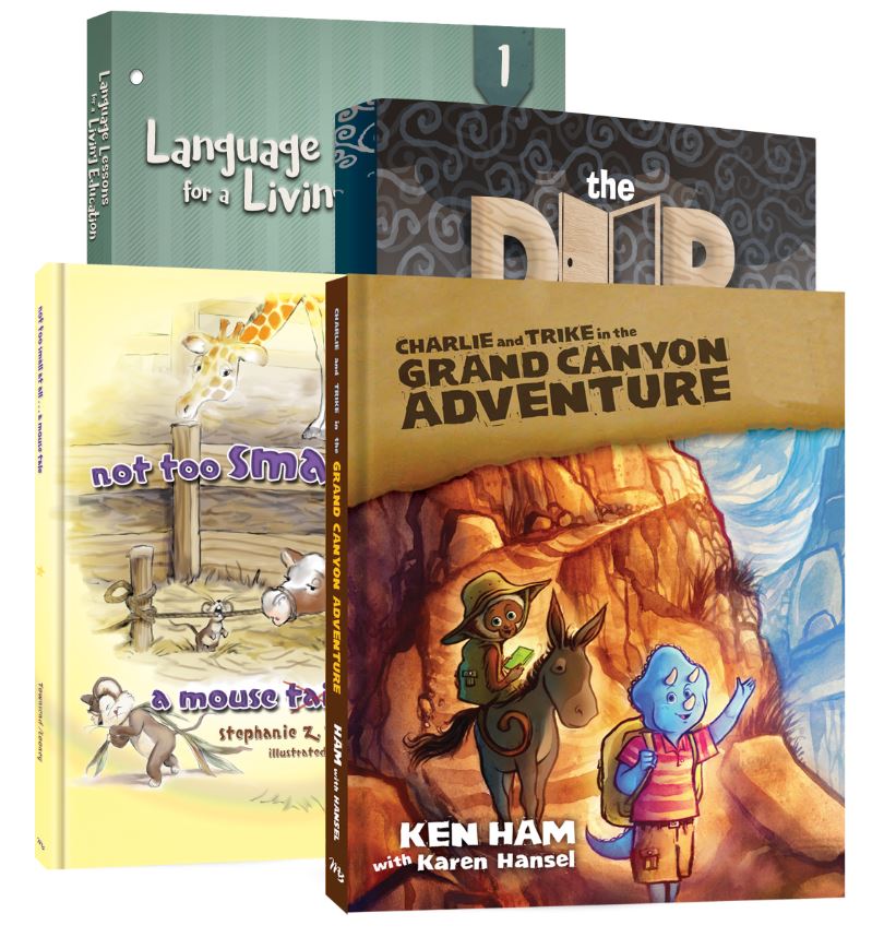 Language Lessons 1 Package - Re-vived